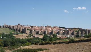 Avila ondo babestutako hiria izan dela ezin ukatu.Bidaia batean atera nuen argazki hau.