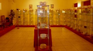 Honelako gela ugari ikusi nituen pixontziari eskeinitako museo batean.Argazki bat atera gabe ezin irten.