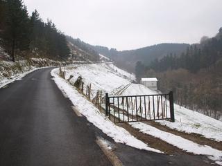 Otsailean ere elurra egin digu Aizarnan,hau irugarrena dugu aurten. 